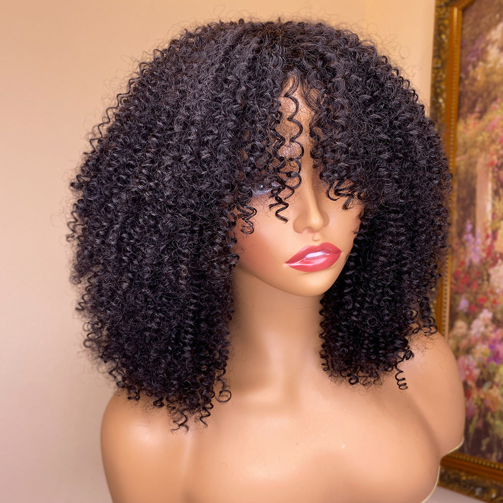 Kinky Curly Human Hair