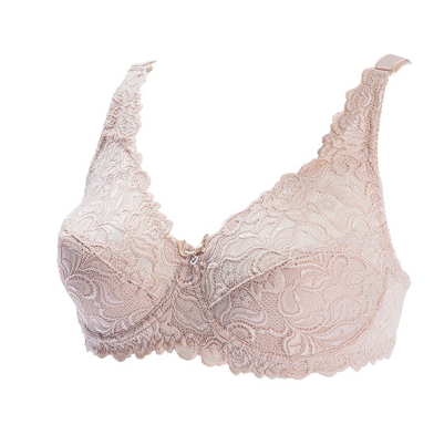 Sexy Lace Plus Size Bra