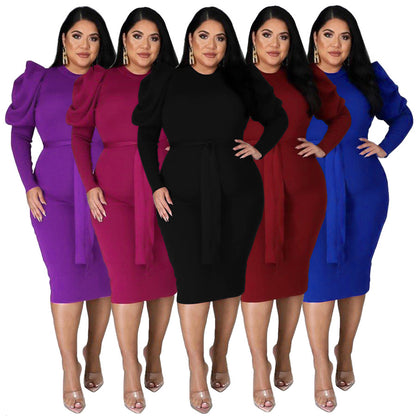 Slim Fit Plus Size Dress