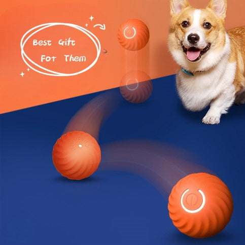 Pet Dog Rubber Ball