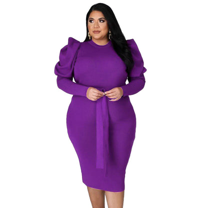 Slim Fit Plus Size Dress