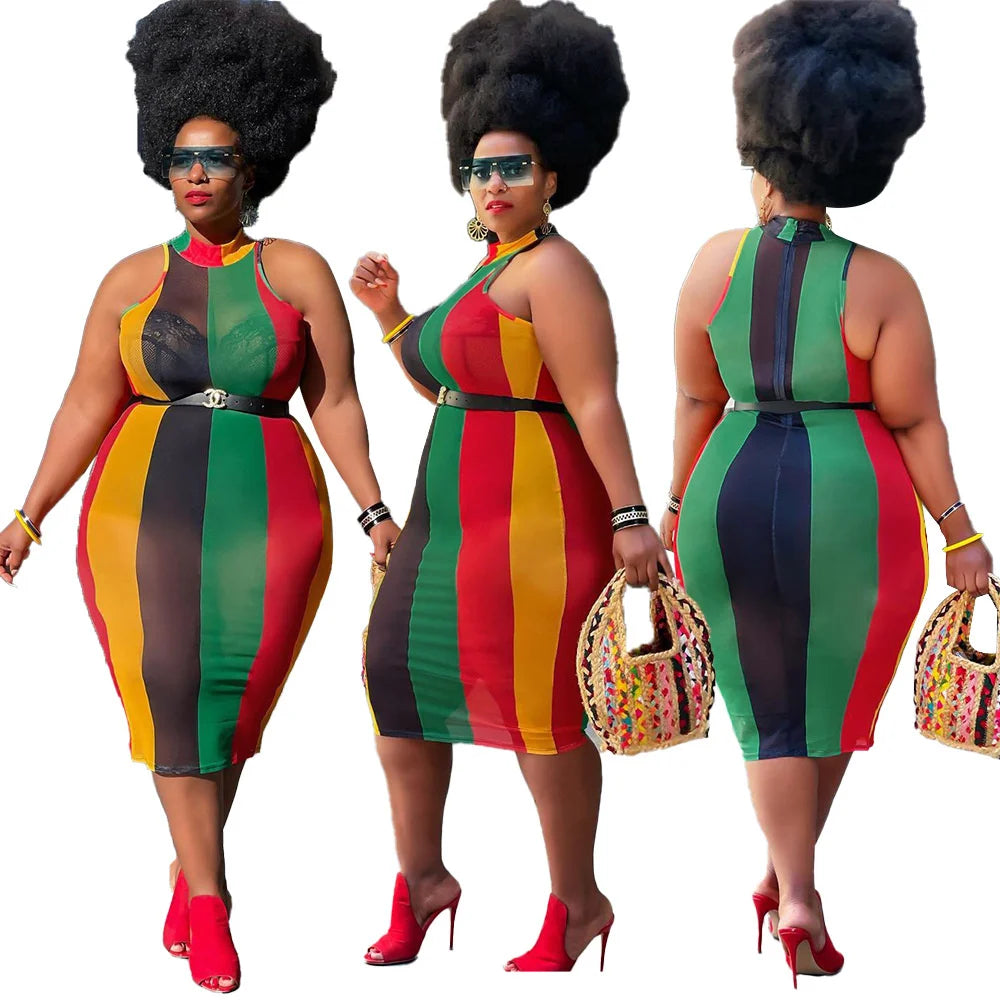 Plus Size Mesh Dress