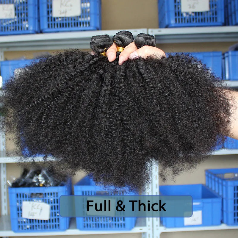 Mongolian Afro Kinky Curly Hair Weave with Closure Natural Black 4B 4C