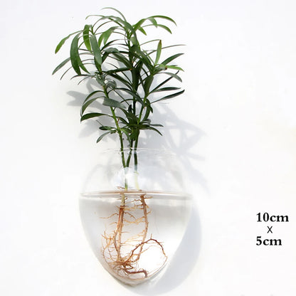 Wall Hanging Glass Flower Vase Terrarium Wall Fish Tank Aquarium