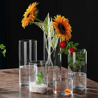 Hydroponic Flower Glass Vase