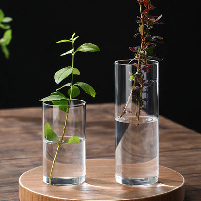 Hydroponic Flower Glass Vase