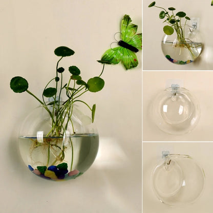 Wall Hanging Hydroponic Glass Vase Small