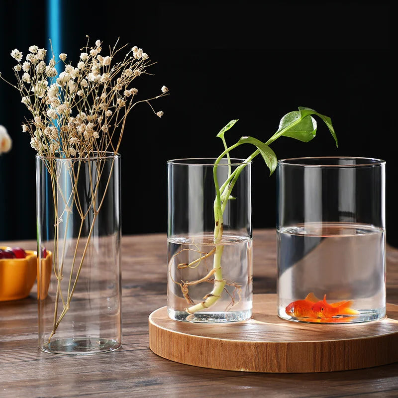 Hydroponic Flower Glass Vase