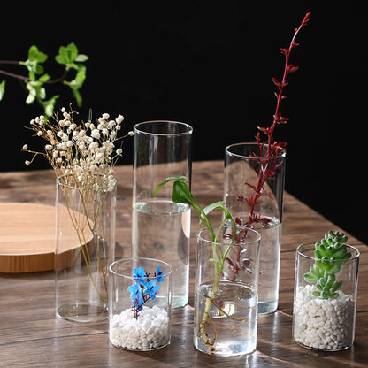 Hydroponic Flower Glass Vase