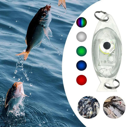 1 Pcs Underwater Fish Trap Lamp