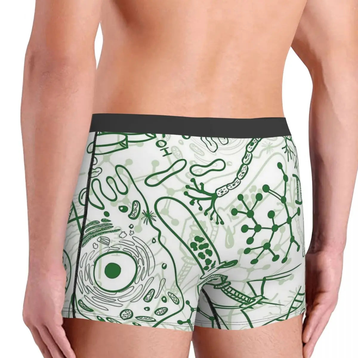 Chemistry Chemical Funny Boxer Briefs Shorts