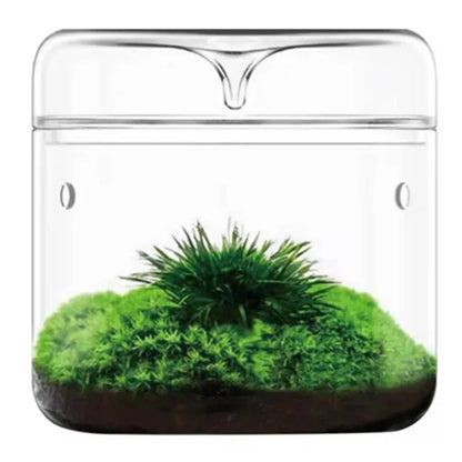 Glass Bottles Vase Micro Landscape Succulent Moss Bansai Terrarium