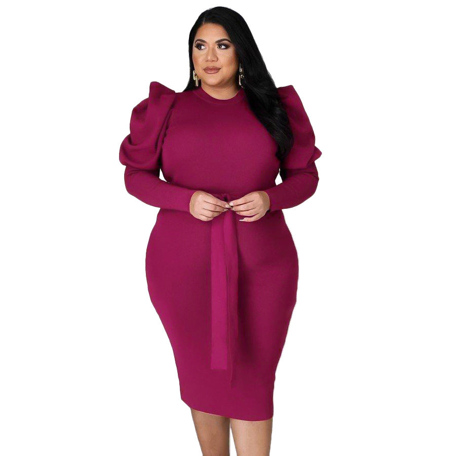 Slim Fit Plus Size Dress